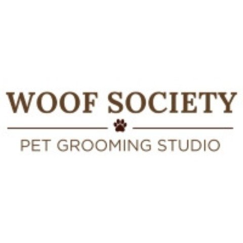 Doggy Day Care Brisbane